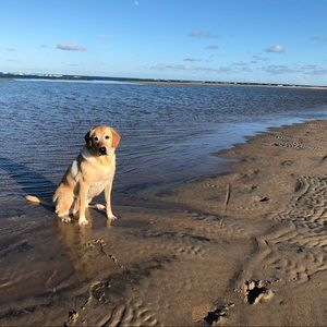 Meet your Posher, Meagan